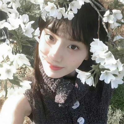 美国恐怖故事第七季